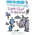 Look Out! a Storm!: Ready-To-Read Pre-Level 1