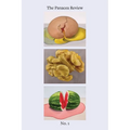 The Panacea Review: Issue One