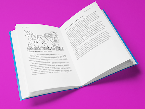 Buch: Wie Ihr Gehirn funktioniert