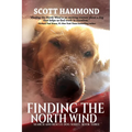 Finding the North Wind