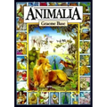 Animalia MIDI: A Picture Book