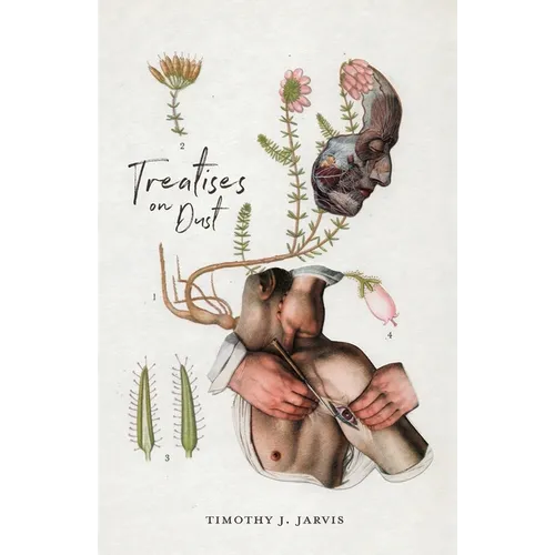 Treatises on Dust