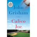 Calico Joe
