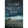 A Tiny Piece of Blue