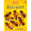 Bees and Wasps