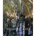 In the Swampyland