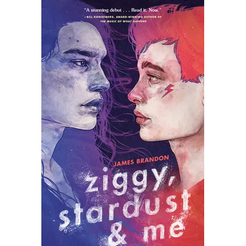 Ziggy, Stardust and Me